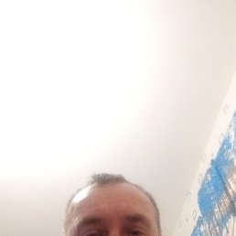 , 49 , 