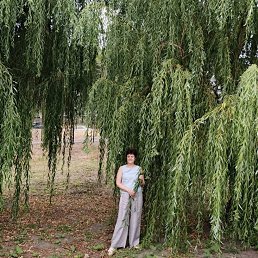 irina, 65, 