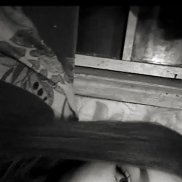 Ева, 18 лет, Волгоград Ева, 18 лет, Волгоград