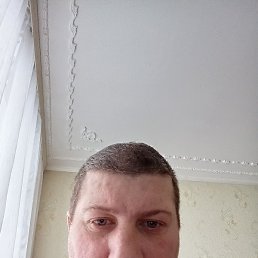 �������, ���, 41 ���