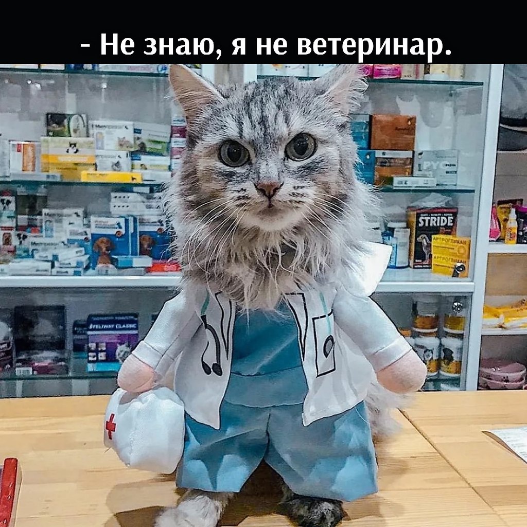 ��� ���� � ����� �� �� - 1 ������ 2026 � 17:30 - 2