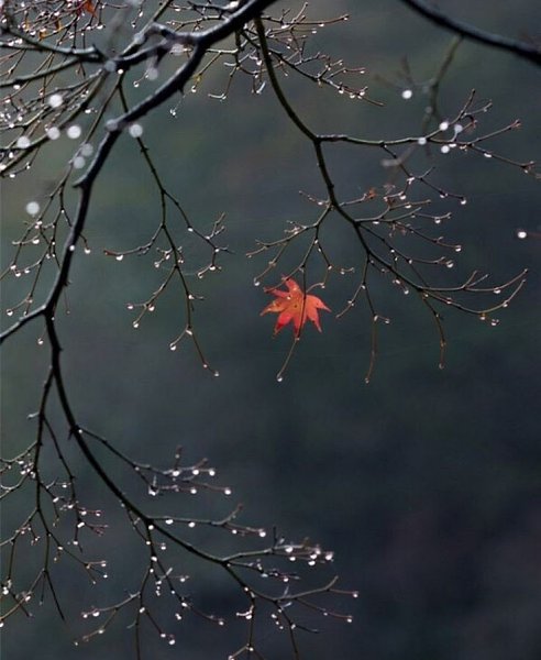  ,     .  ,  ,         ... - 3