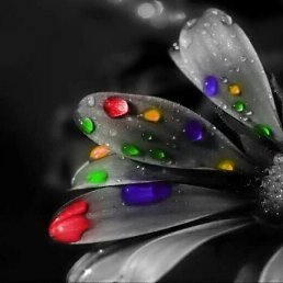 ��������, ������, 80 ���