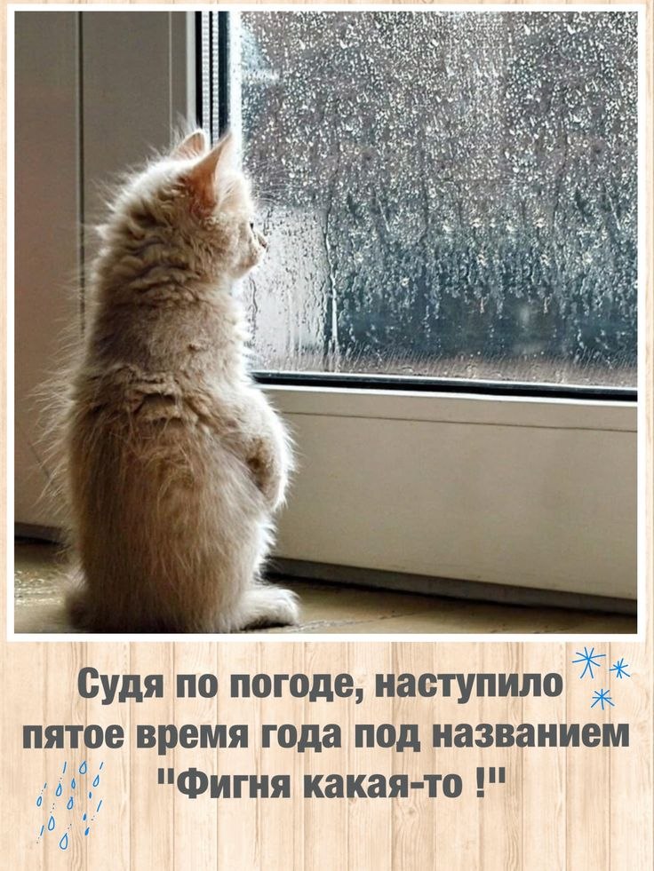 - !!! !. - 12  2025  22:42