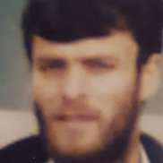 ��������, 50 ���, ���������