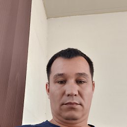 , 40, 