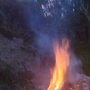 ���� �������, �������� - ��������� 8 ������� 2024 � ������ ������ ��������