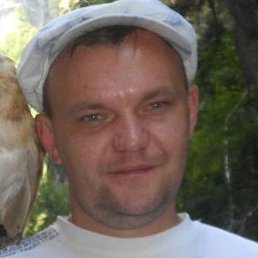 �����, ������, 46 ���