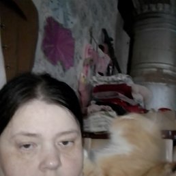 ���, 43 ����, ����