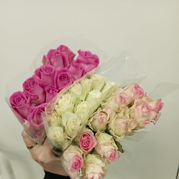 ���� ����, ��������, 42 ���� - ��������� 22 ������� 2023