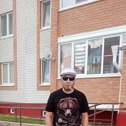 �����, 38 ���, �����������