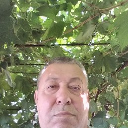 , 71 , 