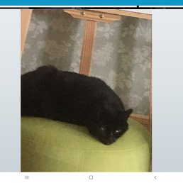 Natalia, ������