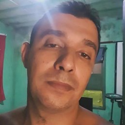 ������, ������, 37 ���