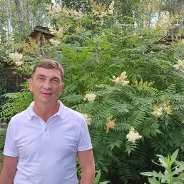 ���������, 52 ����, ����