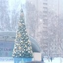 ���� ������, ������, 45 ��� - ��������� 5 ��� 2026 � ������ ���� ����������