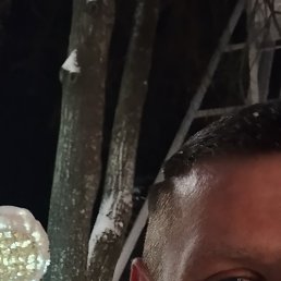 ����, 48 ���, ������� ����