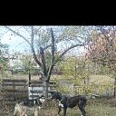 ���� ����, ������-��-����, 37 ��� - ��������� 16 ������� 2025 � ������ ���� ����������