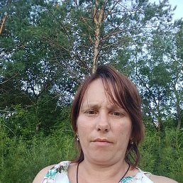 , 41, 
