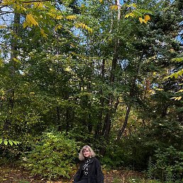 �����, �������, 44 ����