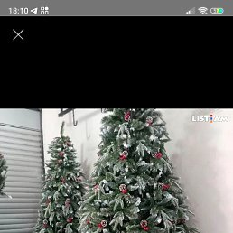 ���� Arman, ������, 38 ��� - ��������� 13 ������ 2024