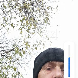 �������, ���������, 47 ���