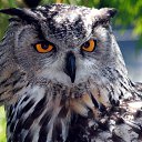 ���� Yes, �����-����� - ��������� 29 ������ 2023 � ������ ���� ����������