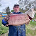 ���� ����, ���������, 62 ���� - ��������� 8 ������ 2023 � ������ ���� ����������