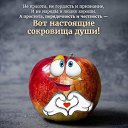 ���� ����, �������� - ��������� 15 ���� 2026 � ������ ������ ��������