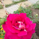 ���� ��������, ������, 59 ��� - ��������� 7 ������� 2024 � ������ ���� ����������