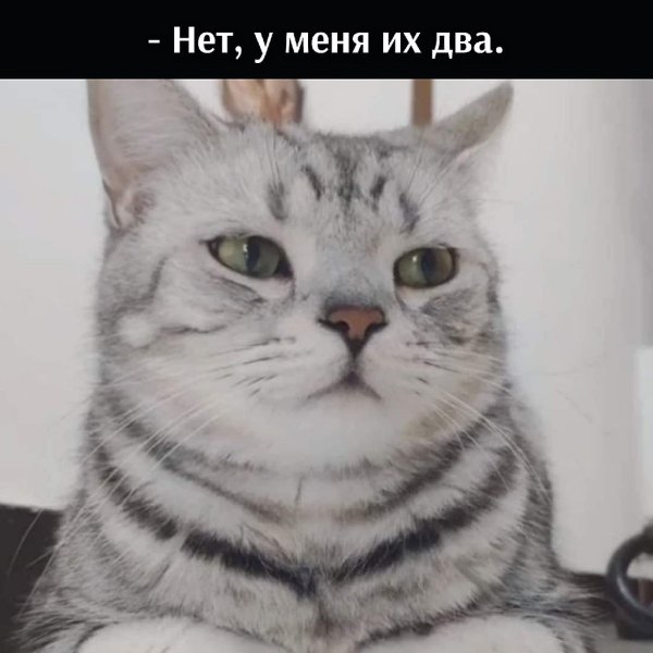 ��� ���� � ����� �� �� - 16 ������� 2025 � 17:03 - 4