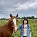 ���� ��������, ������ ��������, 57 ��� - ��������� 8 ������ 2026