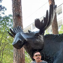 ������, 52 ����, ������������