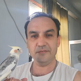 , 45, 
