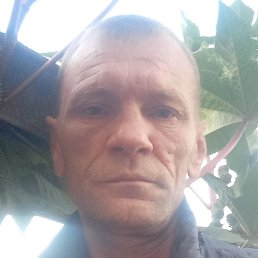 �������, �������, 46 ���