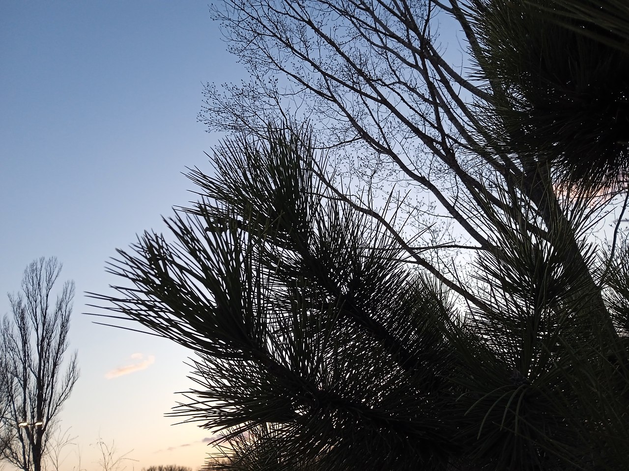 ���� ������� - 6 ������ 2026 � 19:54 - 5