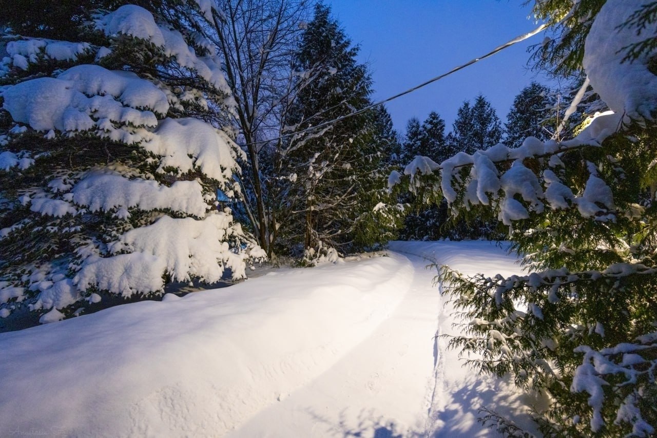 ������������ ����.������������ ���� �������� ��� ����������� � 1932 ����, � � 1951 ���� ������� ... - 2