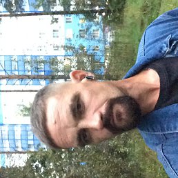 , 37, 