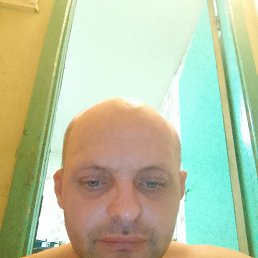 ���� �������, ������, 41 ��� - ��������� 29 ������� 2024