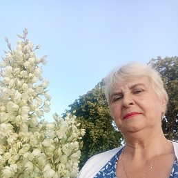 , 62, 