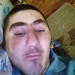 �����, ������, 36 ���