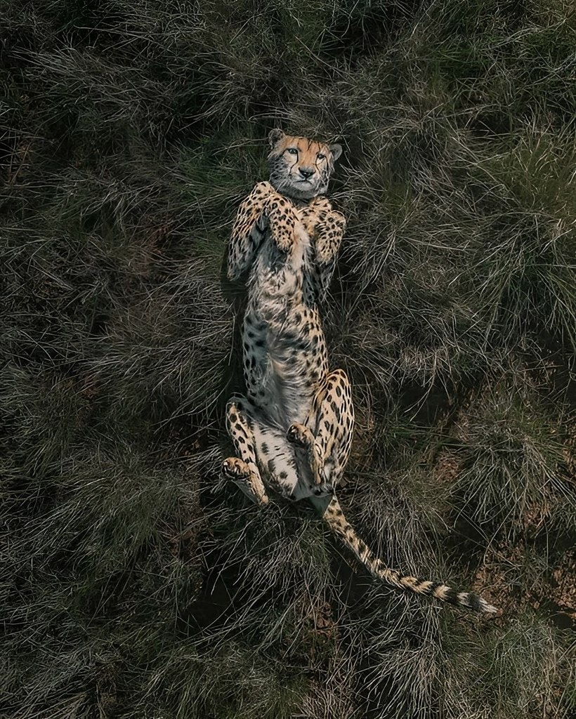 Гипнотические фотографии с дронов - 7