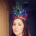 ���� ����, ������� - ��������� 14 ���� 2026 � ������ ������ ��������