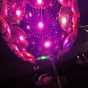 ���� ����, ������-��-����, 42 ���� - ��������� 4 ������� 2025 � ������ ���� ����������