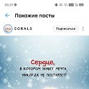 ���� �������, ��������� - ��������� 24 ������ 2026 � ������ ������ ��������