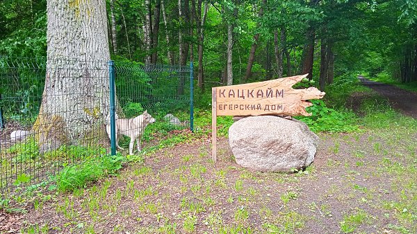 ���. 14.06.2026 �. ������������� ���. - 5