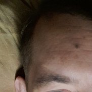 ������, 41 ���, ���������