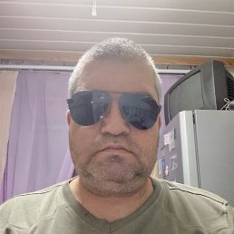 ����, �������, 46 ���