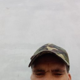 ������, 48 ���, �������