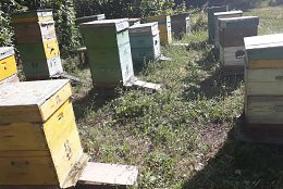 �����������